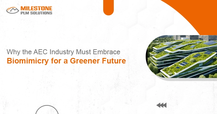 Why the AEC Industry Must Embrace Biomimicry for a Greener Future
